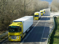 Miletto - Trasporto
